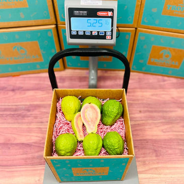 Watermelon Guava Specialty Box Tropical Fruit Box